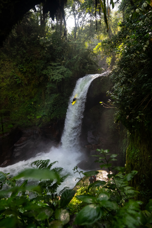 Mexico Early Season Mexico Early Season